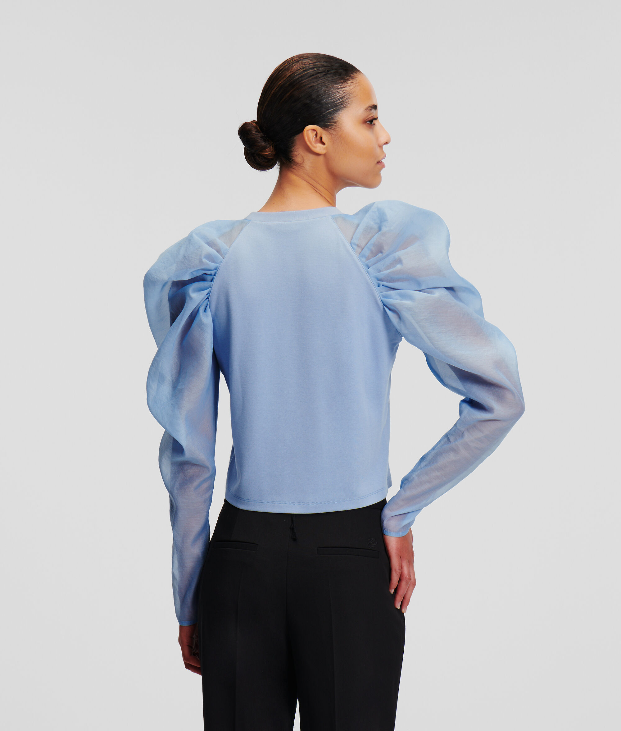 (image for) Robust Organza Sleeve Top Handpicked by Hun Kim